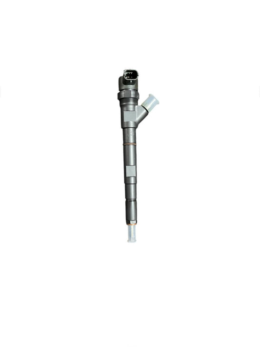 CONJUNTO DE INYECTOR COMBUSTIBLE